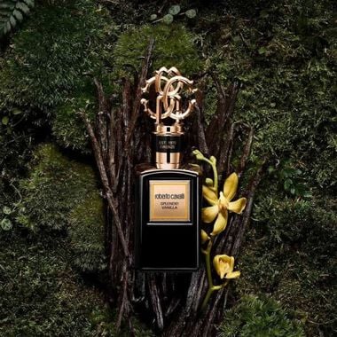 faces gold splendid vanilla