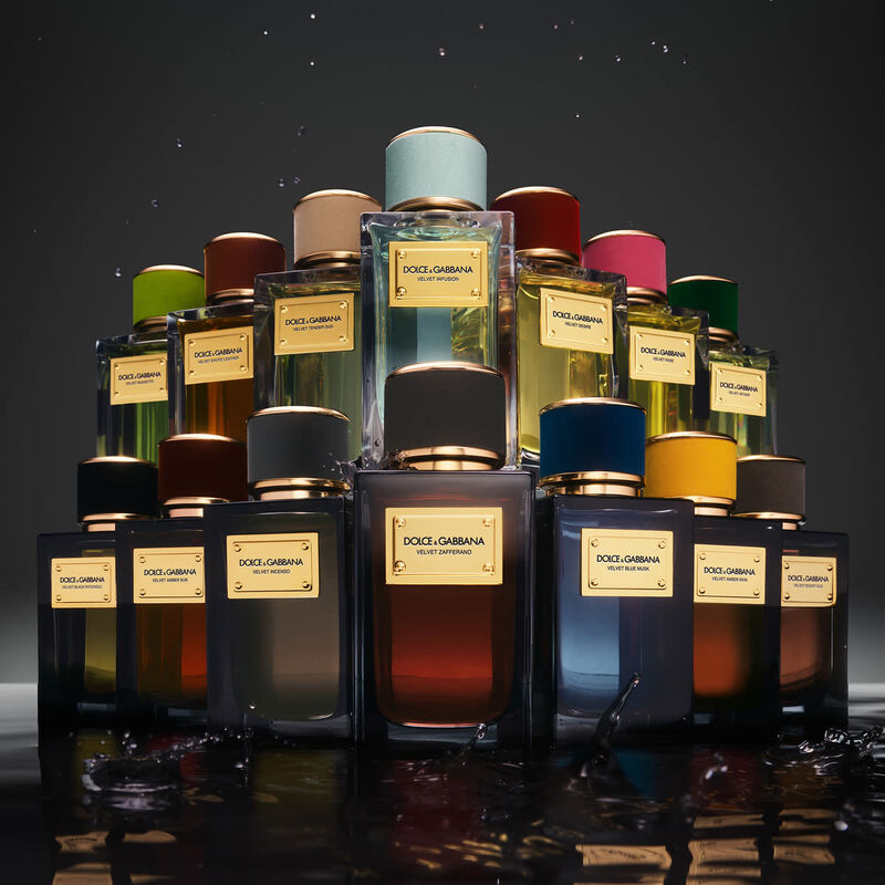 dolce & gabbana velvet infusion