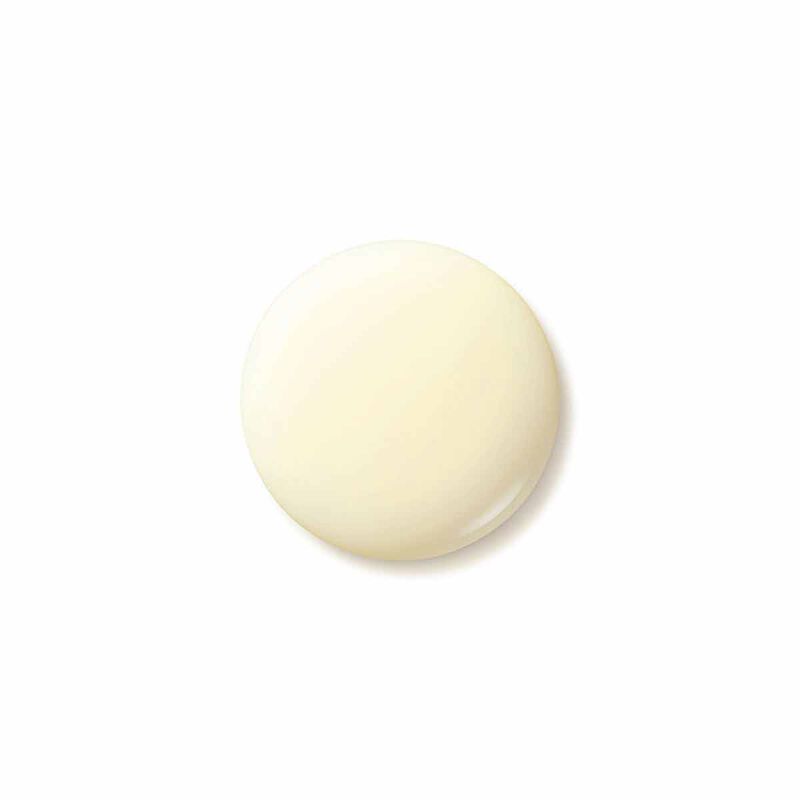 shiseido benefiance wrinkle resist24 day emulsion 75ml