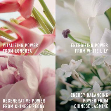 faces capture totale  firming   wrinkle correcting eye cream