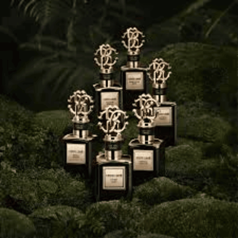 roberto cavalli gold splendid vanilla