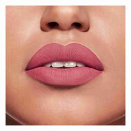 faces بورجوا، مجموعة أحمر الشفاه روج فيلفيت هايبنك شيك