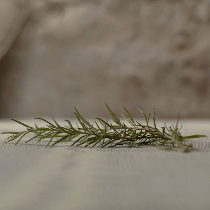 غوتشي غوتشي غيلتي كولونيْ  للرجال أو  دو تواليت