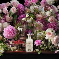 faces the alchemist s garden where my heart beats eau de parfum