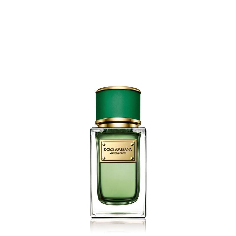dolce & gabbana velvet cypress eau de parfum 50ml