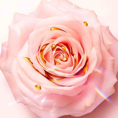 faces idole leau de parfum nectar eau de parfum