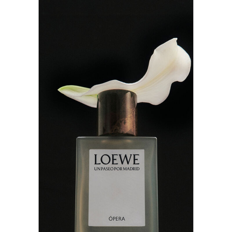 loewe opera en el teatro real