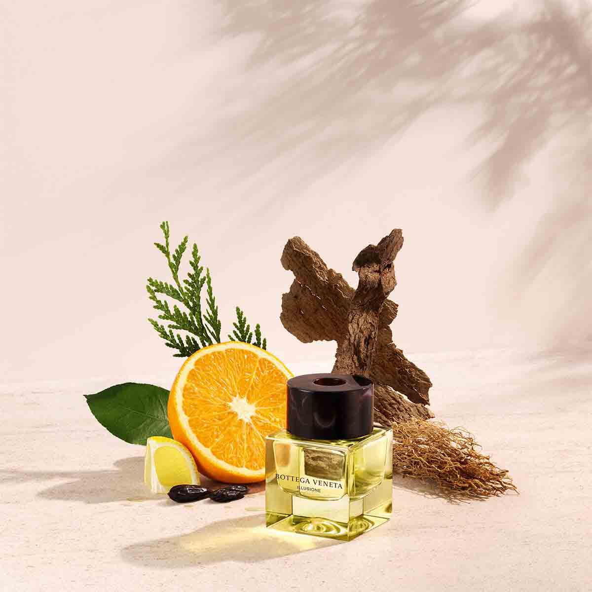 Bottega Veneta Illusione For Him Eau De Toilette Eau de Toilette