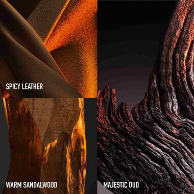 faces وان مليون العود الذهبي العطر المركز 100مل