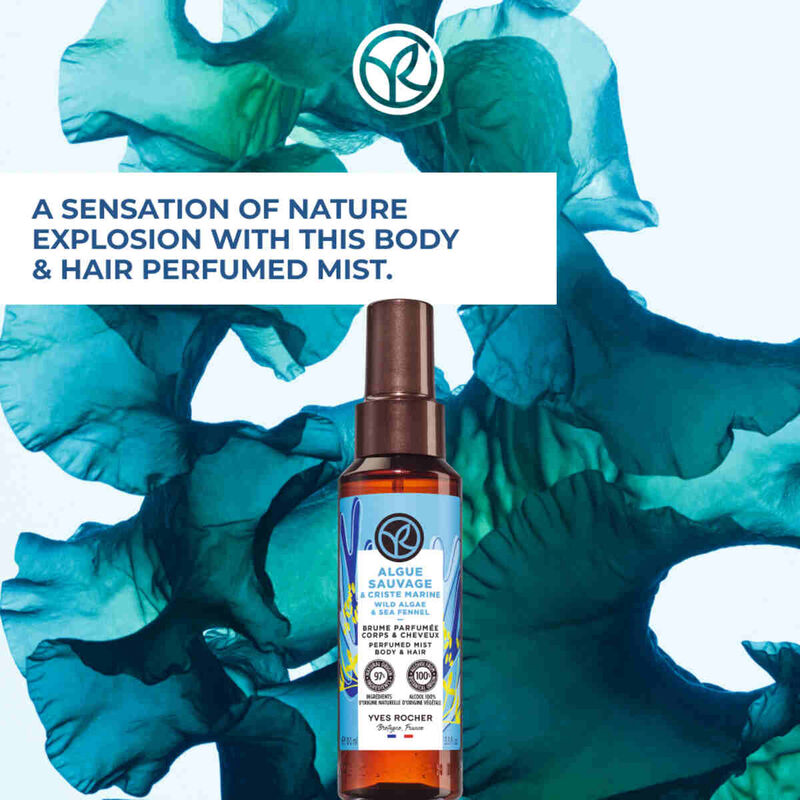 yves rocher perfumed body and hair mist wild algae