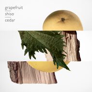 faces terre d herm s parfum