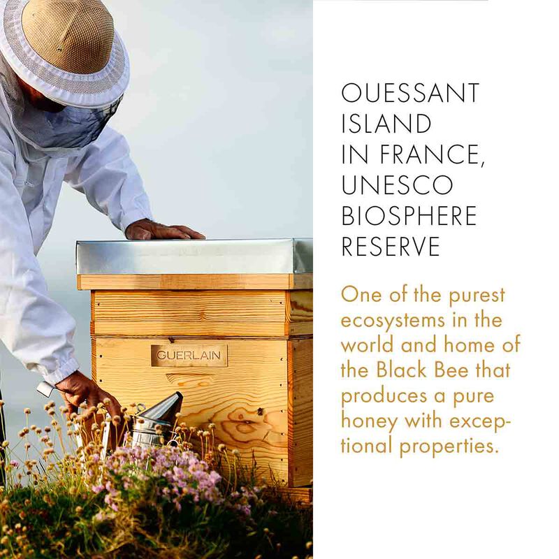 جيرلان سيروم أباي رويال آي آر ريبير لتجديد البشرة 20مل