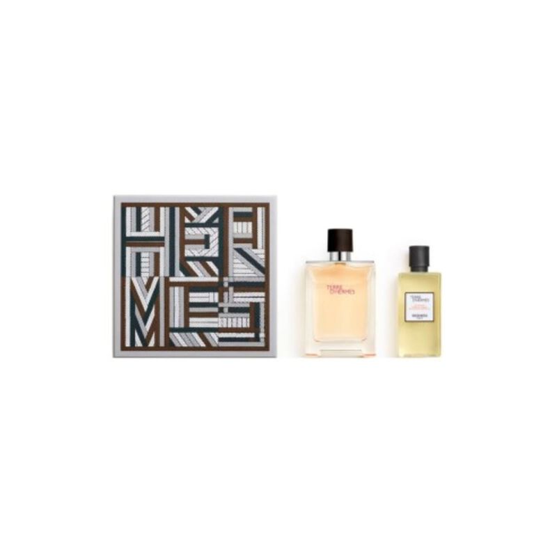 hermes terre d'hermes edt set 100ml + shower gel 80ml