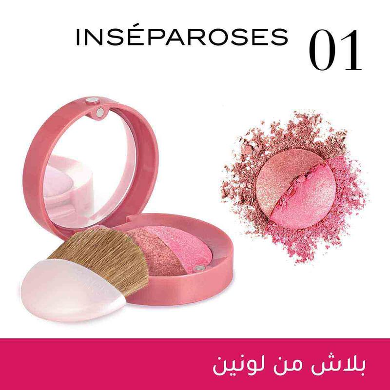 bourjois duo blush sculpt