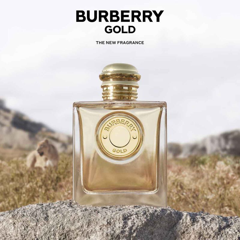 burberry burberry gold