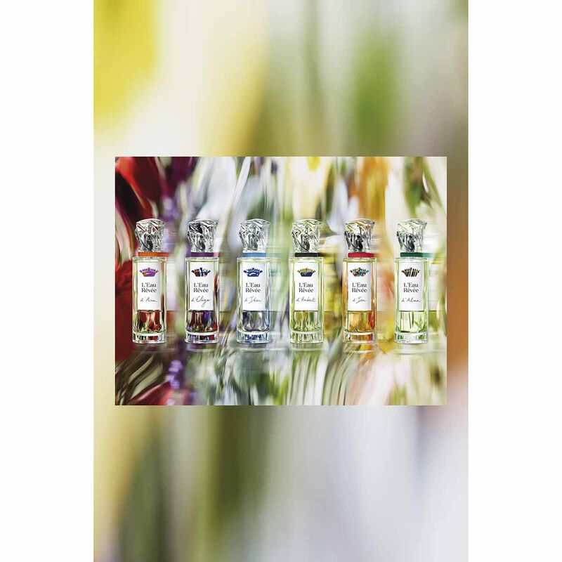 سيسلي لو ريفي ديليا