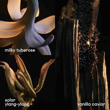 faces ليدي مليون فابلوس انتنس أو دو برفان 80مل