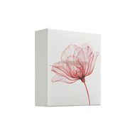 faces مجموعة ذا ريتوال أوف أورفيدا  متوسط