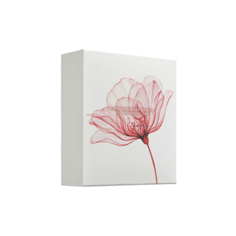 ريتوالز مجموعة ذا ريتوال أوف أورفيدا  متوسط