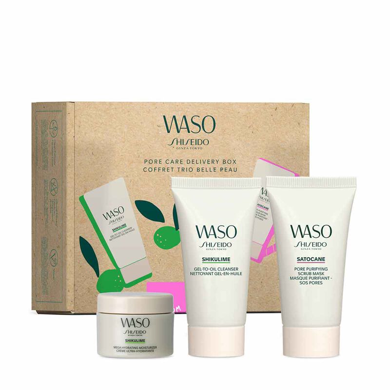 shiseido waso pore care kit
