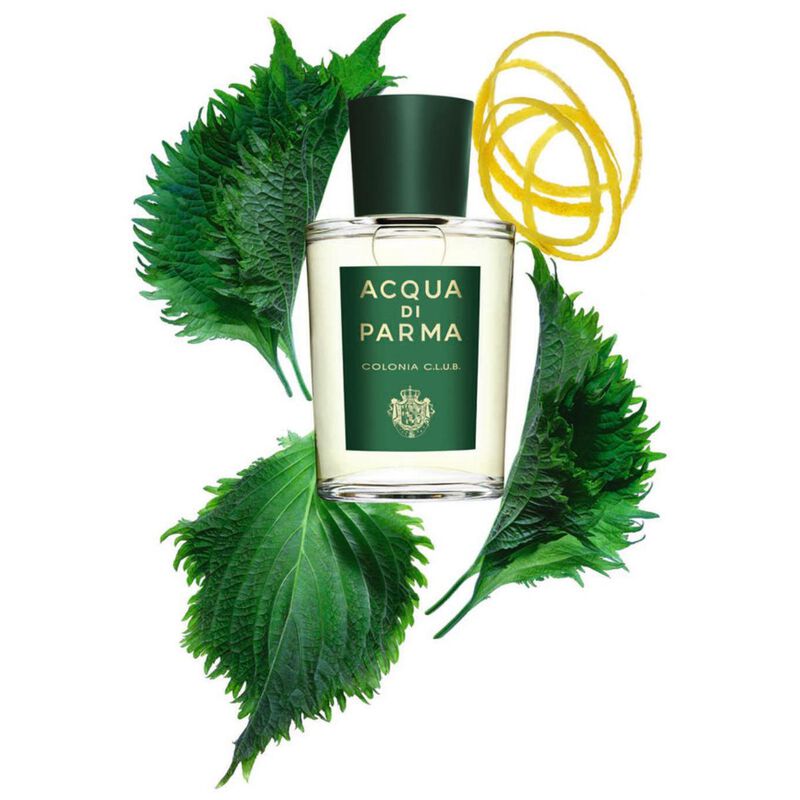acqua di parma colonia club
