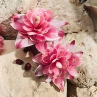 Light Blue Capri In Love faces light blue capri in love