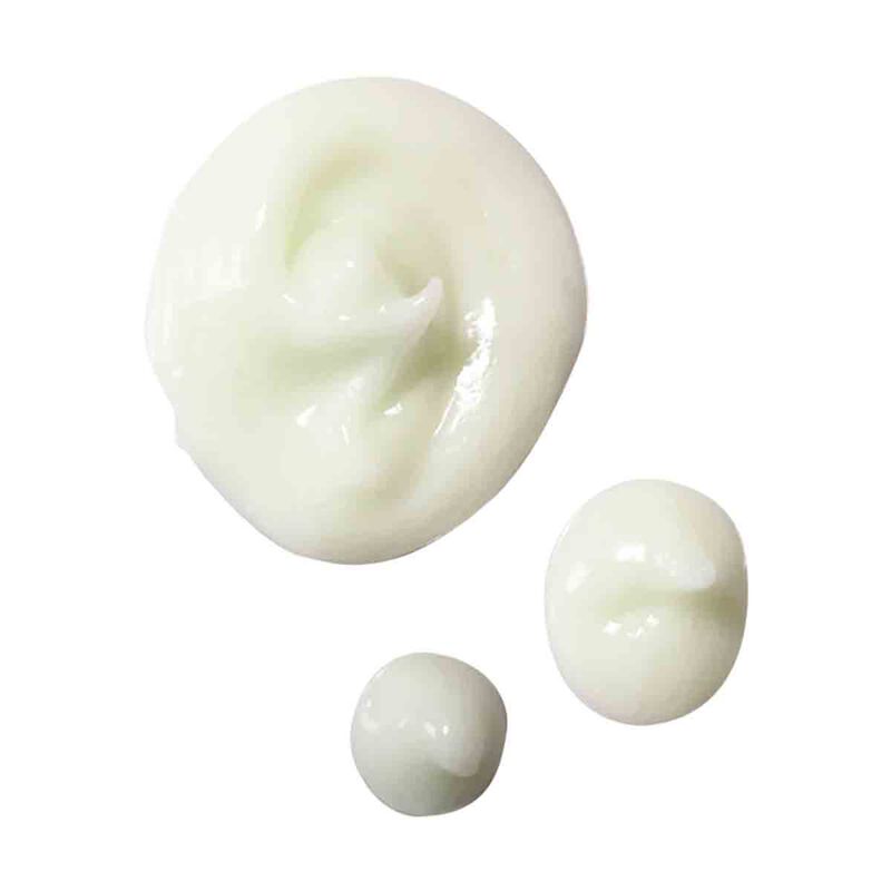Daily Shield Superfood Conditioner abyssian daily shield superfood conditioner