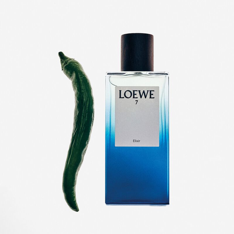 loewe 7 elixir