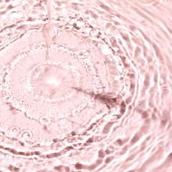 faces very rose 3 in 1 soothing micellar water