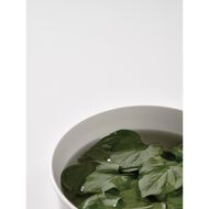 faces heartleaf 77 soothing toner 2