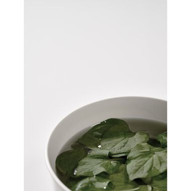 faces heartleaf 77  soothing toner 2