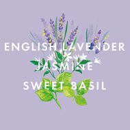 faces مزيج الزيوت العطرية بريفكت نايت سليب