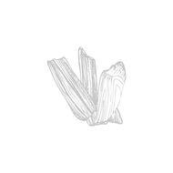 عطر بريشوس عود  أو دو برفان 75مل faces عطر بريشوس عود  أو دو برفان 75مل