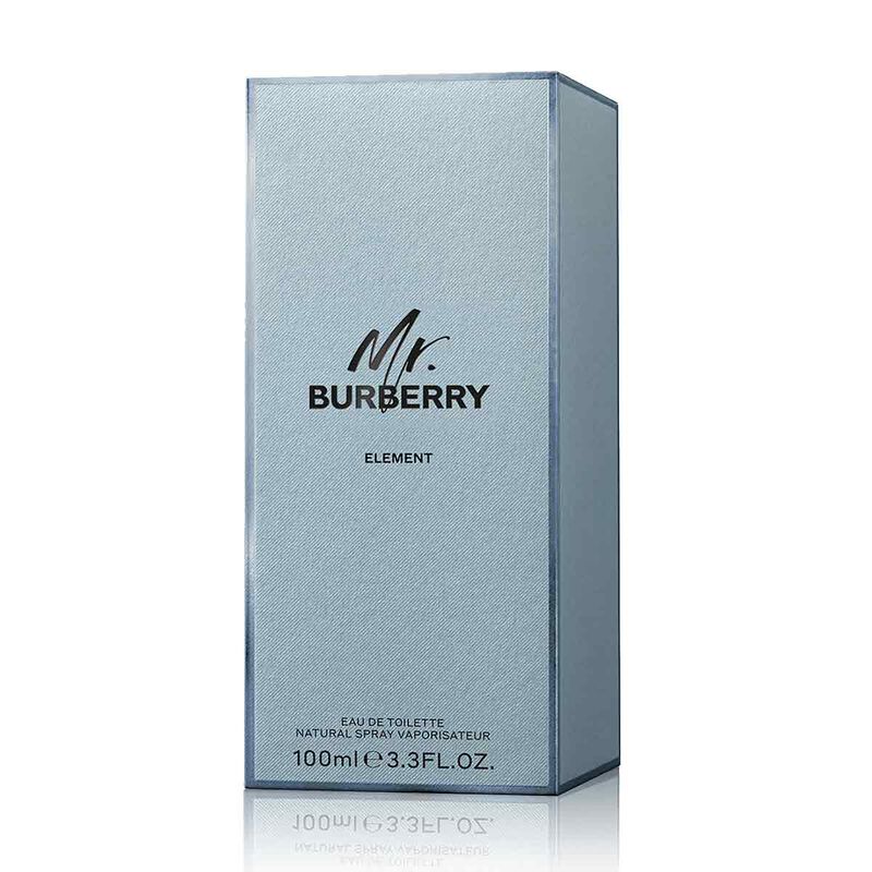 Burberry Mr. Burberry Element Eau de Toilette burberry burberry mr. burberry element eau de toilette