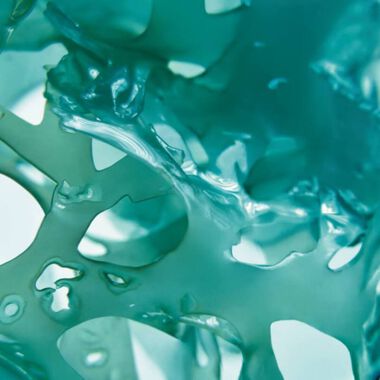 faces wild algae   sea fennel energizing body lotion