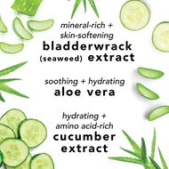 Facial Spray With Aloe, Cucumber and Green Tea faces facial spray with aloe cucumber and green tea