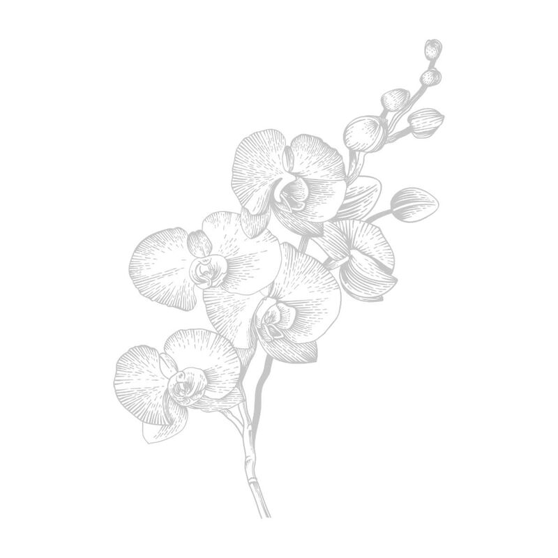 فان كليف اند اربلز فان كليف آند آربلز أوركيد ليذر ماء عطر 75 مل