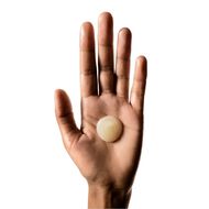 faces absolut repair shampoo