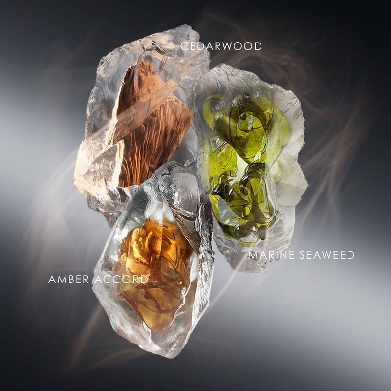 issey miyake le sel d'issey