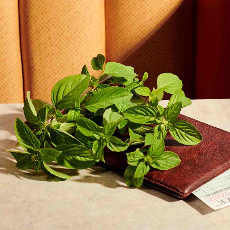 عطر غيلتي إنتينس أو دو برفان للنساء غوتشي عطر غيلتي إنتينس أو دو برفان للنساء