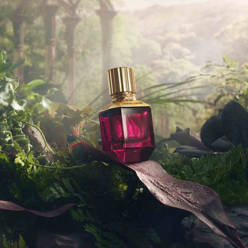 roberto cavalli paradise found for her