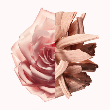 faces irresistible nude velvet