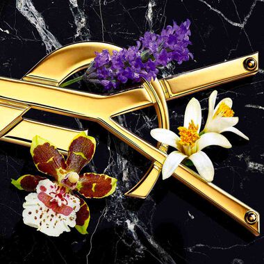 faces عطر ليبر أو دو برفان إنتنس