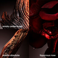 faces 1 million elixir parfum intense