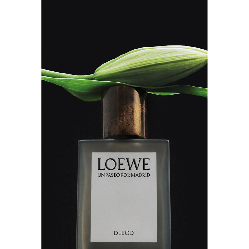loewe templo debod
