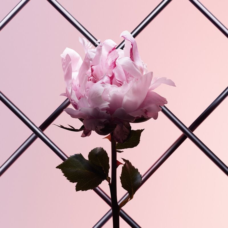 givenchy irresistible very floral