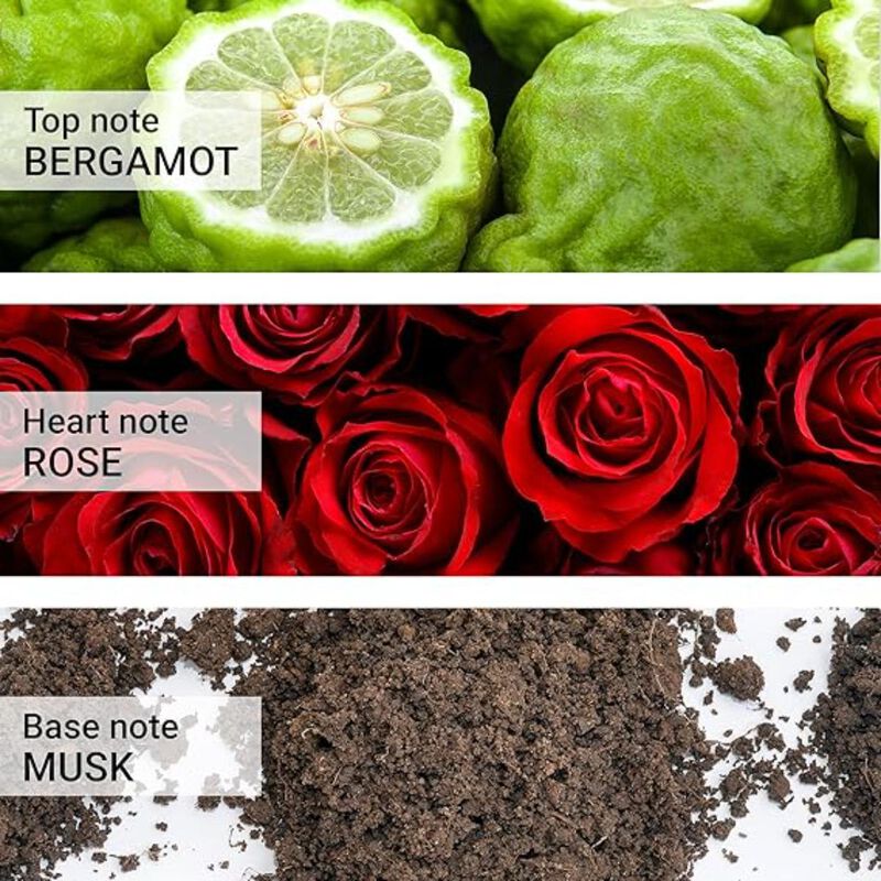 carrera original uomo eau de toilette 125ml