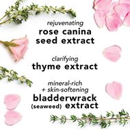 Facial Spray With Aloe, Herbs and Rosewater faces facial spray with aloe herbs and rosewater