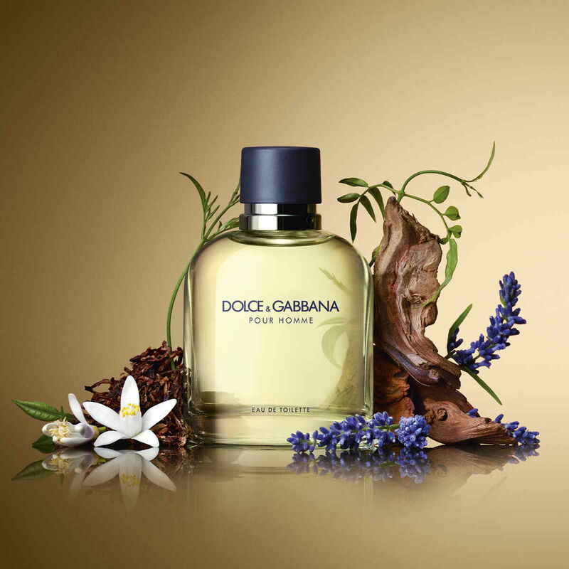 دولتشي أند غابانا ph edt 125ml