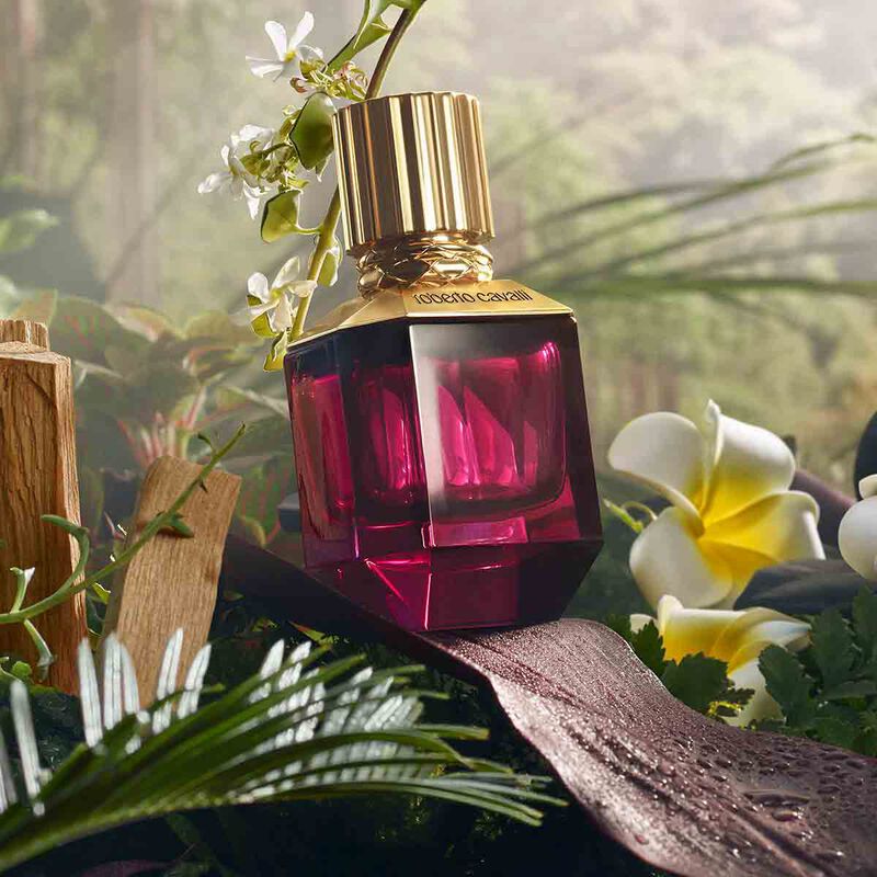 roberto cavalli paradise found for her